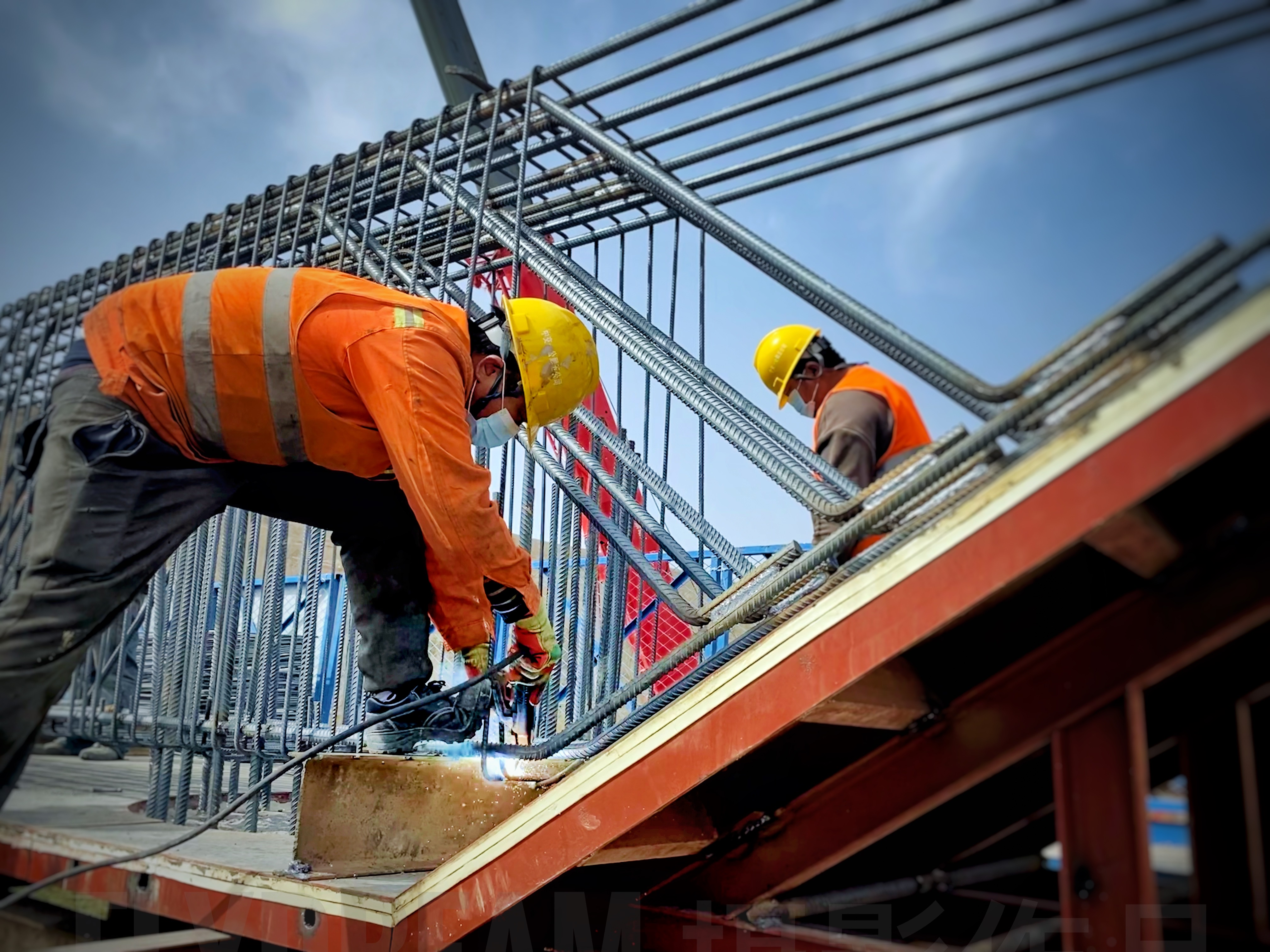 圖片3.png 圖片3.png